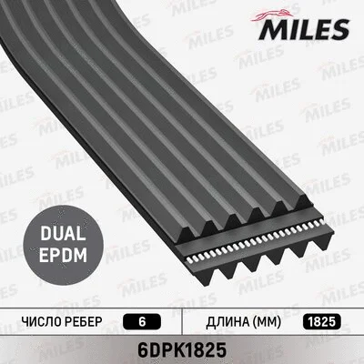 V-Ribbed Belt (6DPK1825)