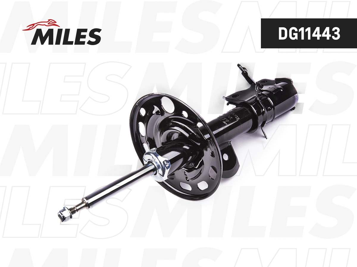 Shock Absorber (DG11443)
