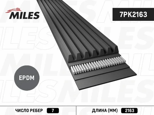 V-Ribbed Belt (7PK2163)