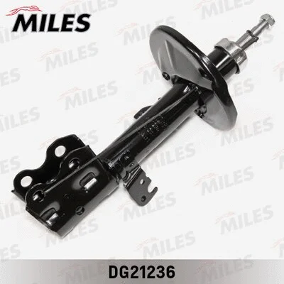 Shock Absorber (DG21236)