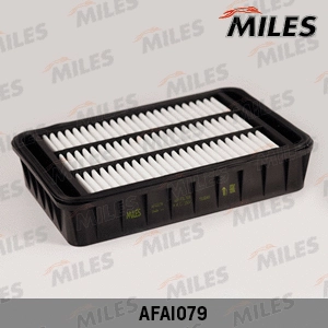 Air Filter (AFAI079)