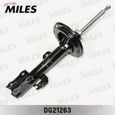 Shock Absorber (DG21263)