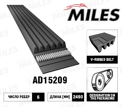 V-Ribbed Belt (AD15209)