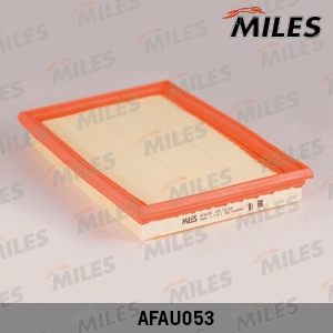 Air Filter (AFAU053)