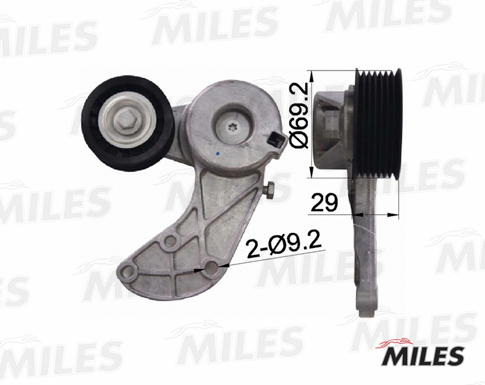 Tensioner Lever, V-ribbed belt