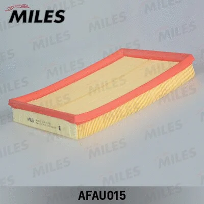 Air Filter (AFAU015)