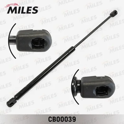 Gas Spring, boot/cargo area (CB00039)