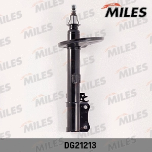 Shock Absorber (DG21213)