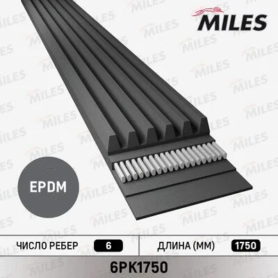 V-Ribbed Belt (6PK1750)