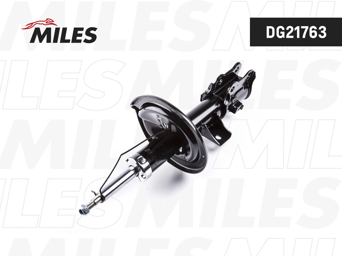 Shock Absorber (DG21763)