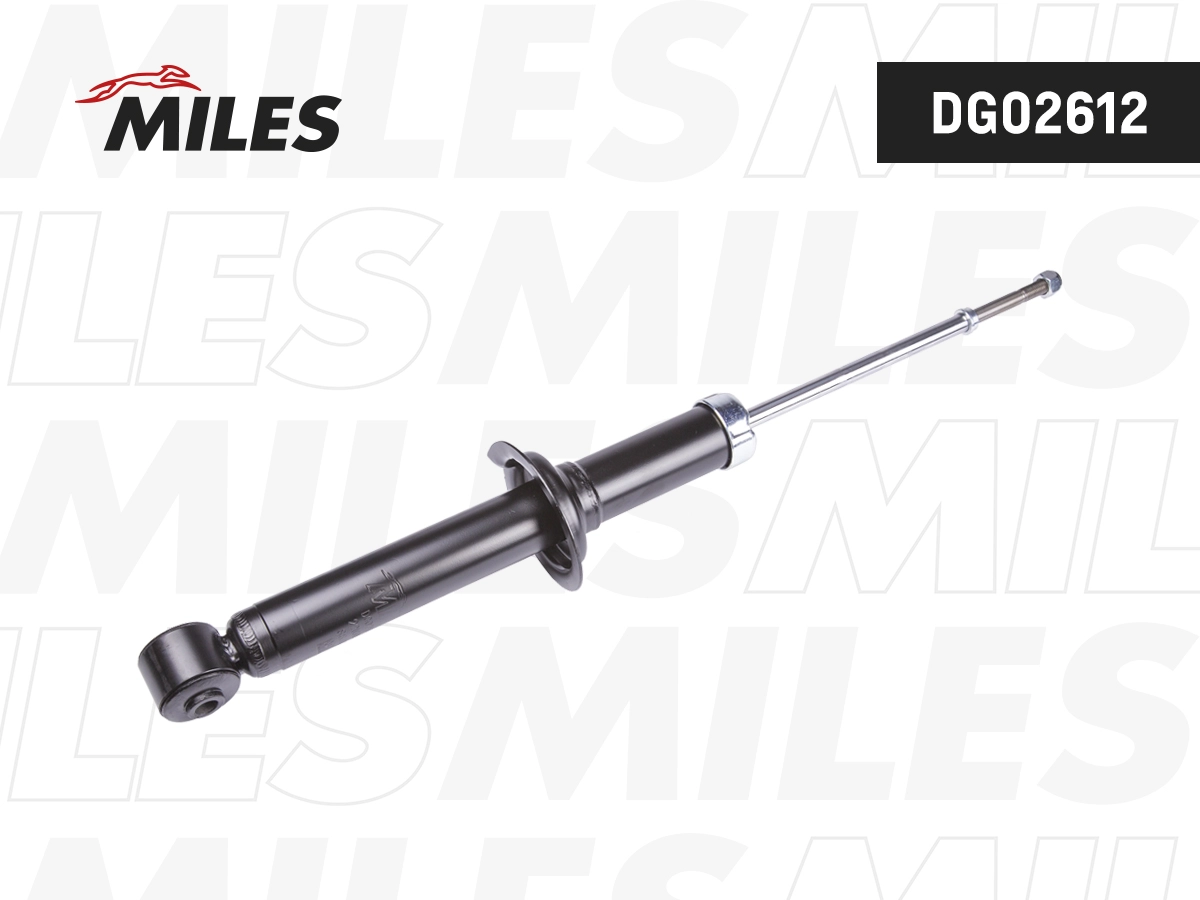 Shock Absorber (DG02612)
