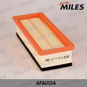 Air Filter (AFAU134)