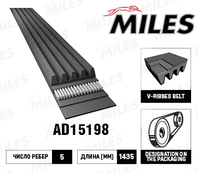 V-Ribbed Belt (AD15198)