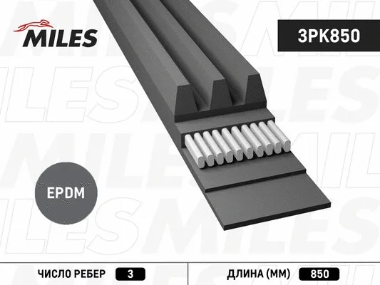 V-Ribbed Belt (3PK850)