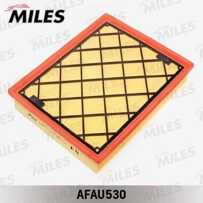 Air Filter (AFAU530)