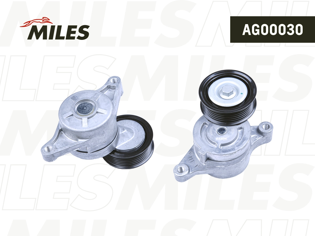 Tensioner Lever, V-ribbed belt (AG00030)