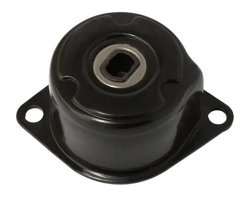 Tensioner Lever, V-ribbed belt (AG00020)