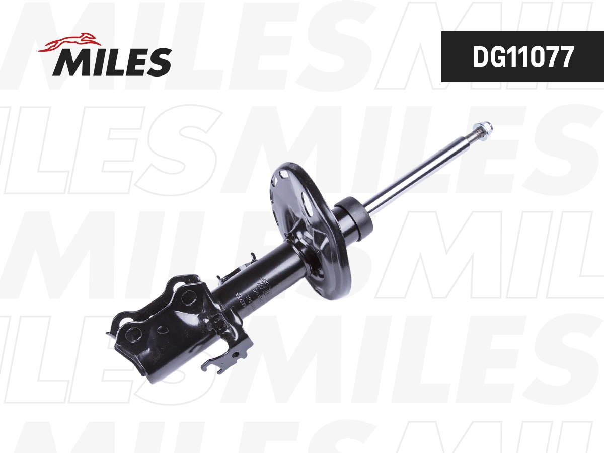 Shock Absorber (DG11077)