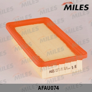 Air Filter (AFAU074)