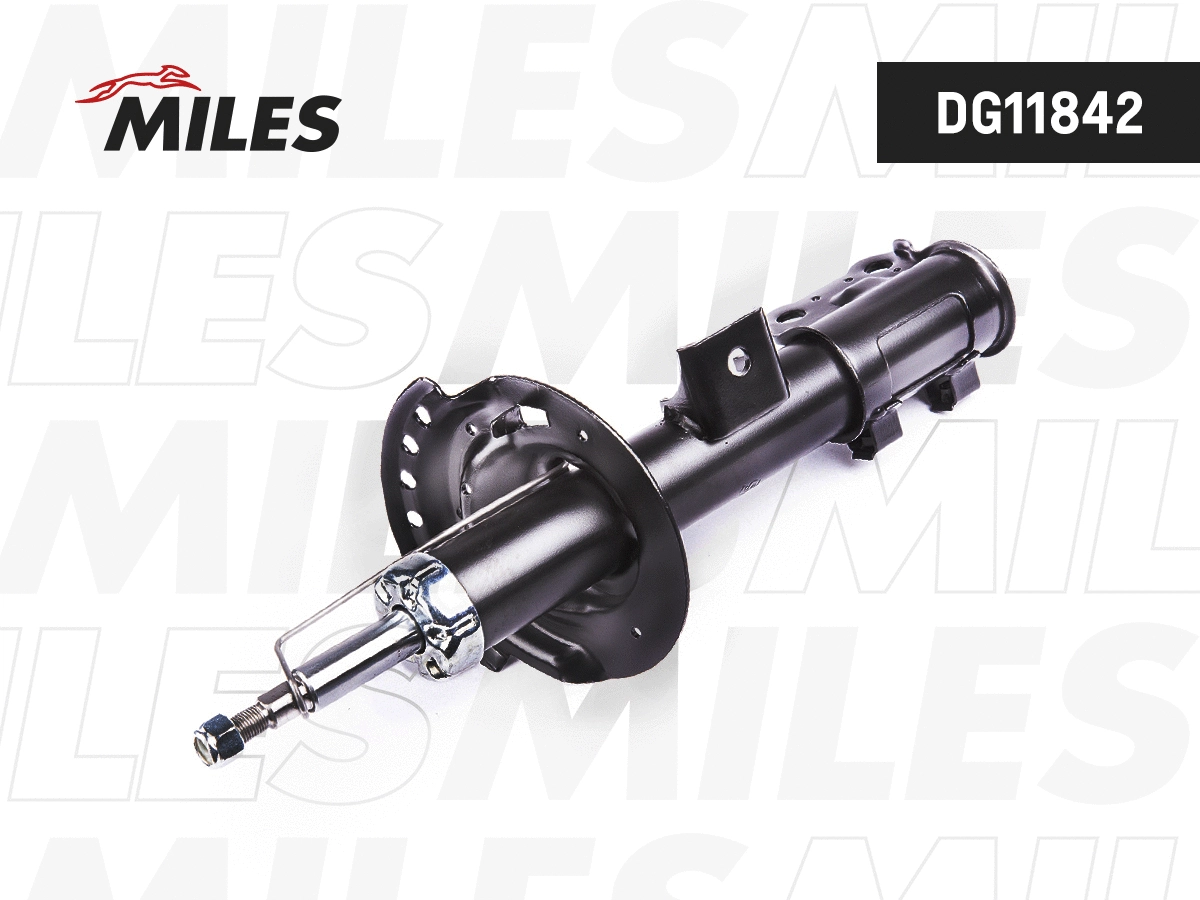 Shock Absorber (DG11842)