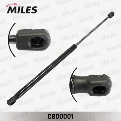 Gas Spring, boot/cargo area (CB00001)