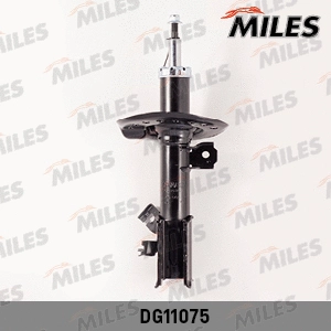 Shock Absorber (DG11075)