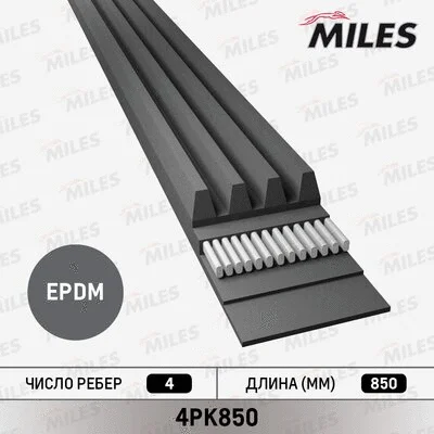 V-Ribbed Belt (4PK850)