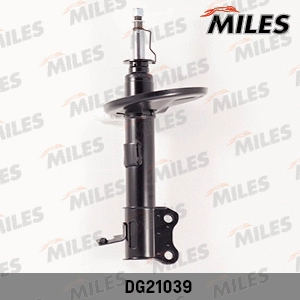 Shock Absorber (DG21039)