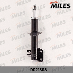Shock Absorber (DG21308)