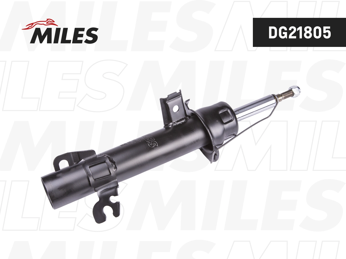 Shock Absorber (DG21805)
