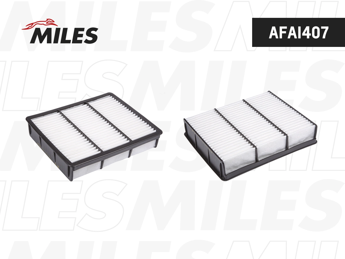 Air Filter (AFAI407)