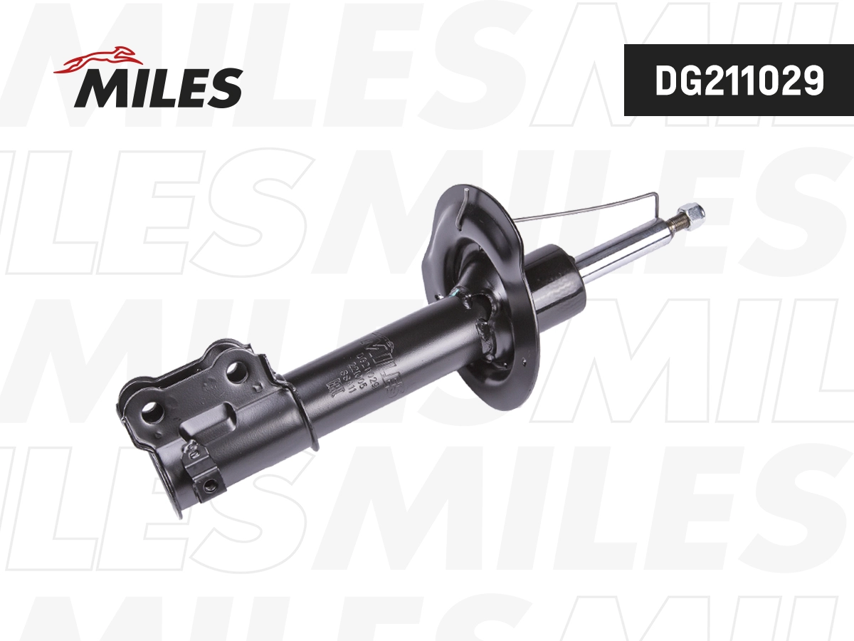 Shock Absorber (DG211029)