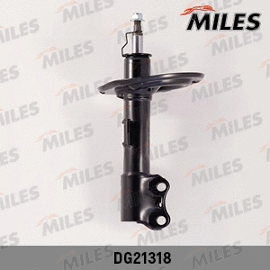 Shock Absorber (DG21318)
