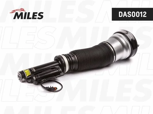 Air Suspension Strut (DAS0012)