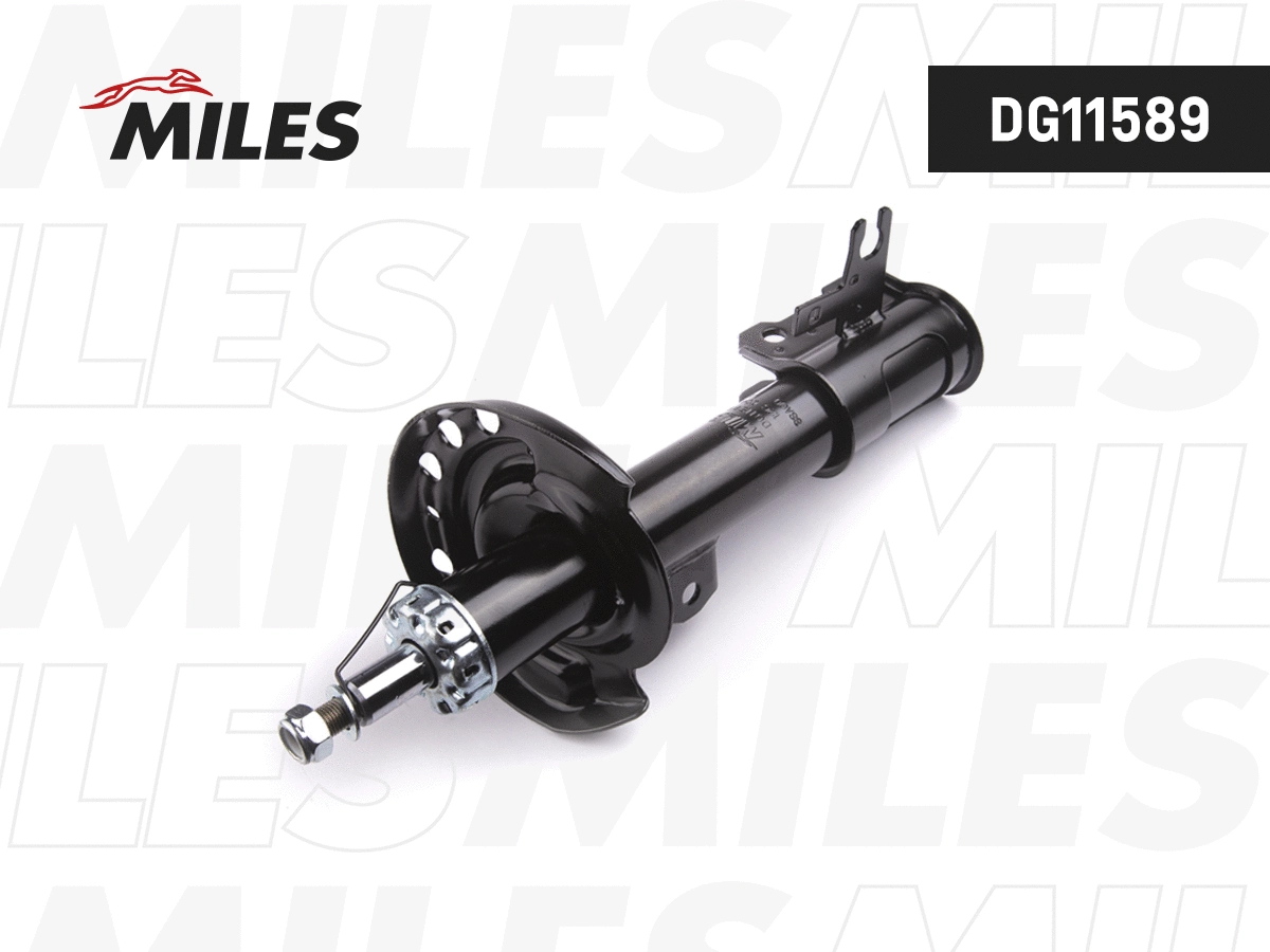 Shock Absorber (DG11589)