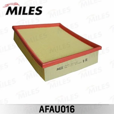 Air Filter (AFAU016)