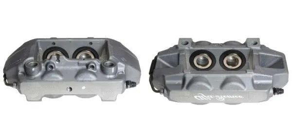 Brake Caliper (F 23 203)