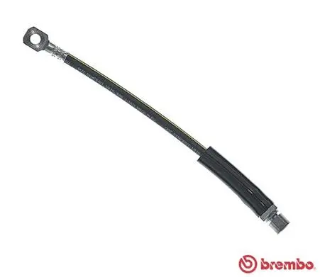 Brake Hose (T 59 001)