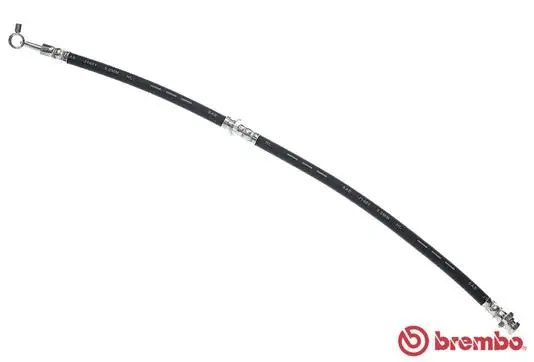 Brake Hose (T 56 173)