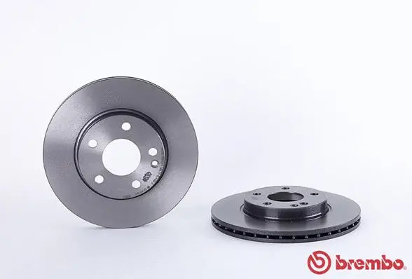 Brake Disc (09.8680.11)