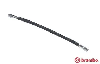 Brake Hose (T 16 031)