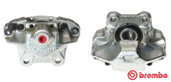 Brake Caliper (F 99 100)