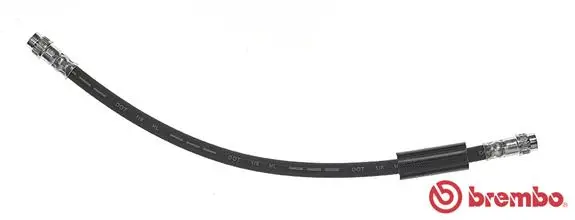 Brake Hose (T 23 195)