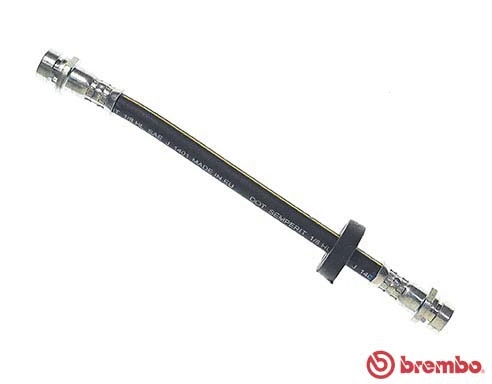 Brake Hose (T 24 036)