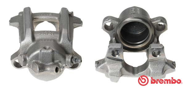 Brake Caliper (F 06 234)