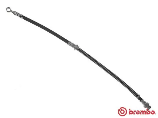 Brake Hose (T 54 047)