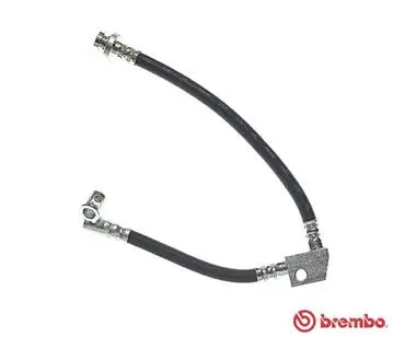 Brake Hose (T 56 039)