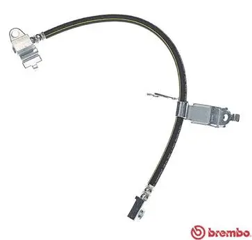 Brake Hose (T 24 139)