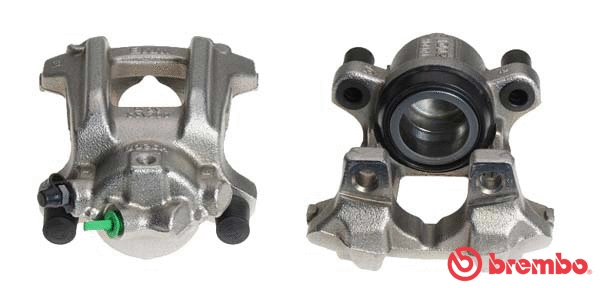 Brake Caliper (F 06 245)