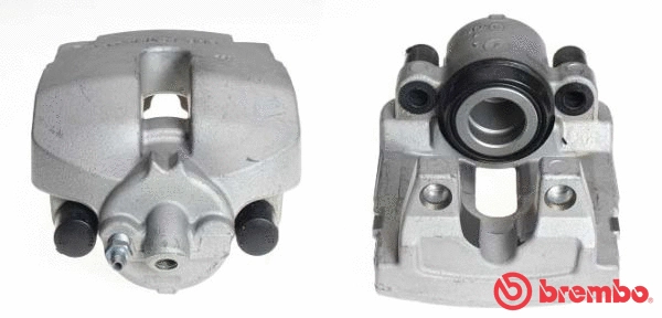 Brake Caliper (F 06 183)